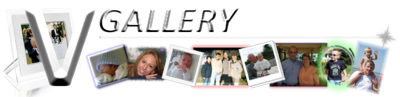 V-Gallery Logo